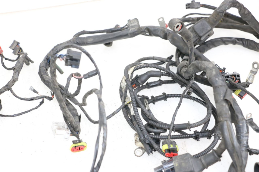 photo de WIRE HARNESS PIAGGIO MP3 500 (2011 - 2015)