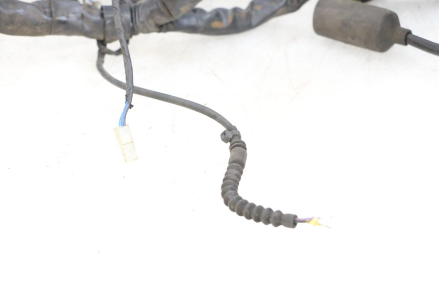 photo de WIRE HARNESS PIAGGIO MP3 500 (2011 - 2015)