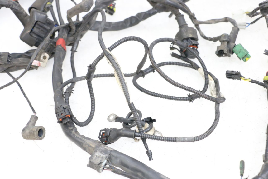 photo de WIRE HARNESS PIAGGIO MP3 500 (2011 - 2015)