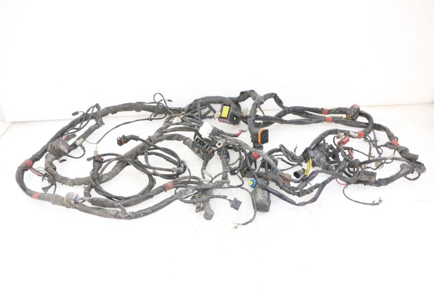 photo de WIRE HARNESS PIAGGIO MP3 125 (2006 - 2014)