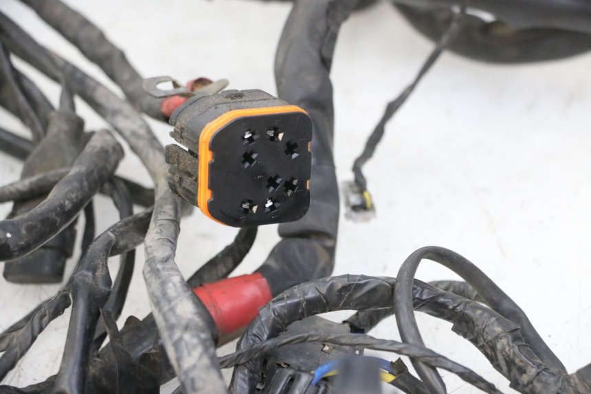 photo de WIRE HARNESS PIAGGIO MP3 125 (2006 - 2014)