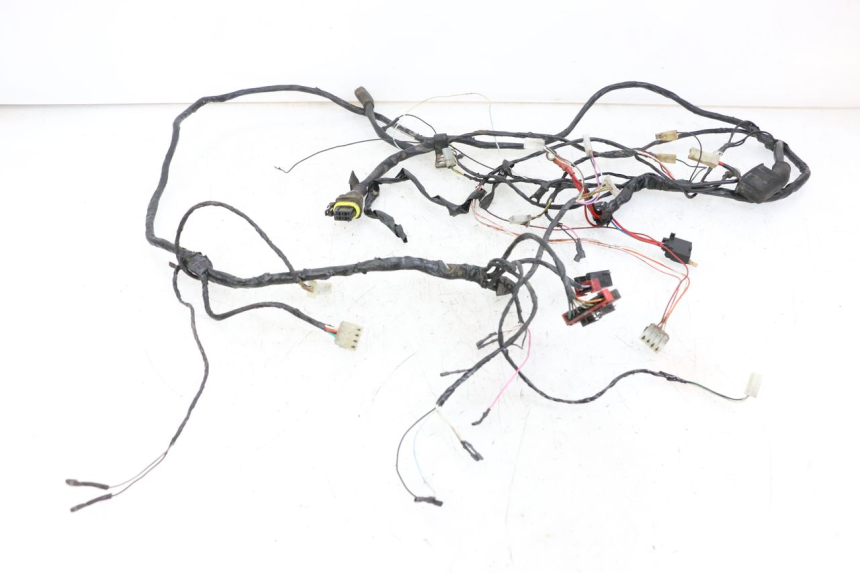 photo de WIRE HARNESS PIAGGIO TYPHOON 50 (2000 - 2009)