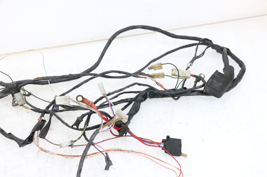 photo de WIRE HARNESS PIAGGIO TYPHOON 50 (2000 - 2009)