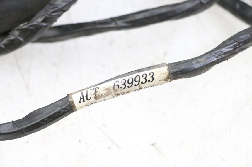 photo de WIRE HARNESS PIAGGIO TYPHOON 50 (2000 - 2009)