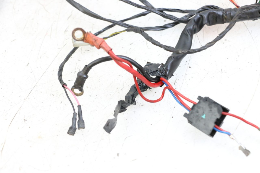 photo de WIRE HARNESS PIAGGIO TYPHOON 50 (2000 - 2009)