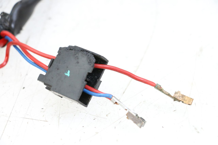 photo de WIRE HARNESS PIAGGIO TYPHOON 50 (2000 - 2009)