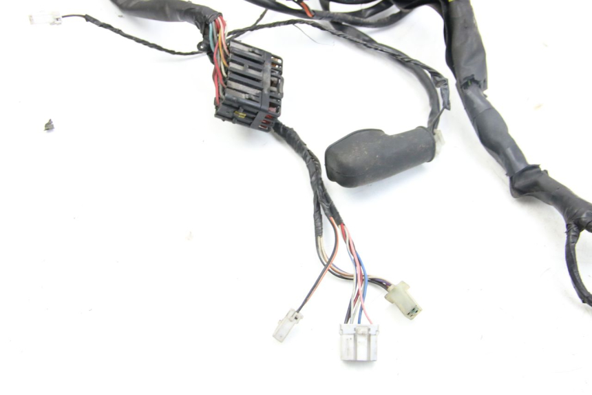 photo de WIRING HARNESS PIAGGIO VESPA GRANTURISMO 125 (2003 - 2007)