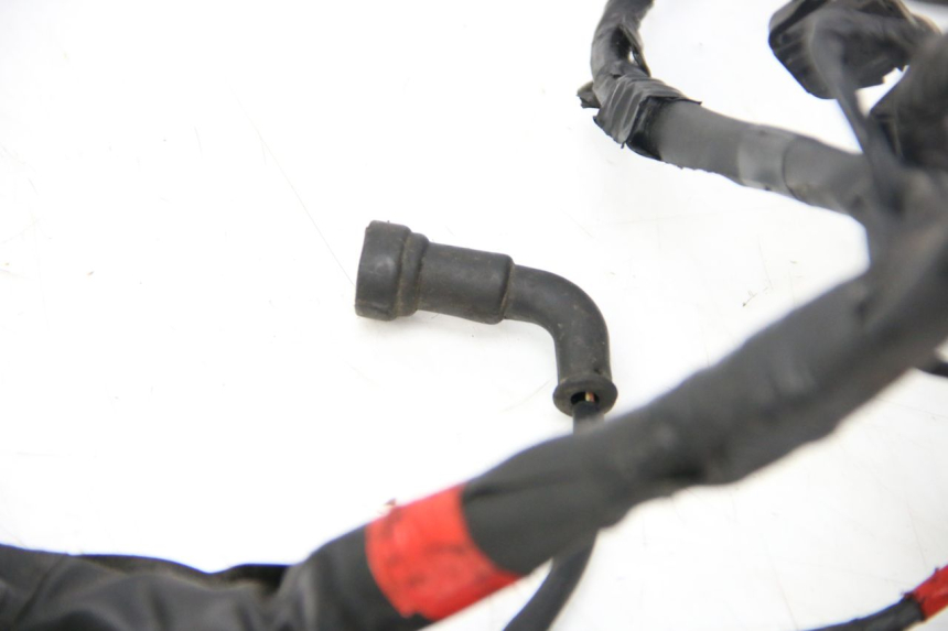photo de WIRING HARNESS PIAGGIO VESPA GRANTURISMO 125 (2003 - 2007)
