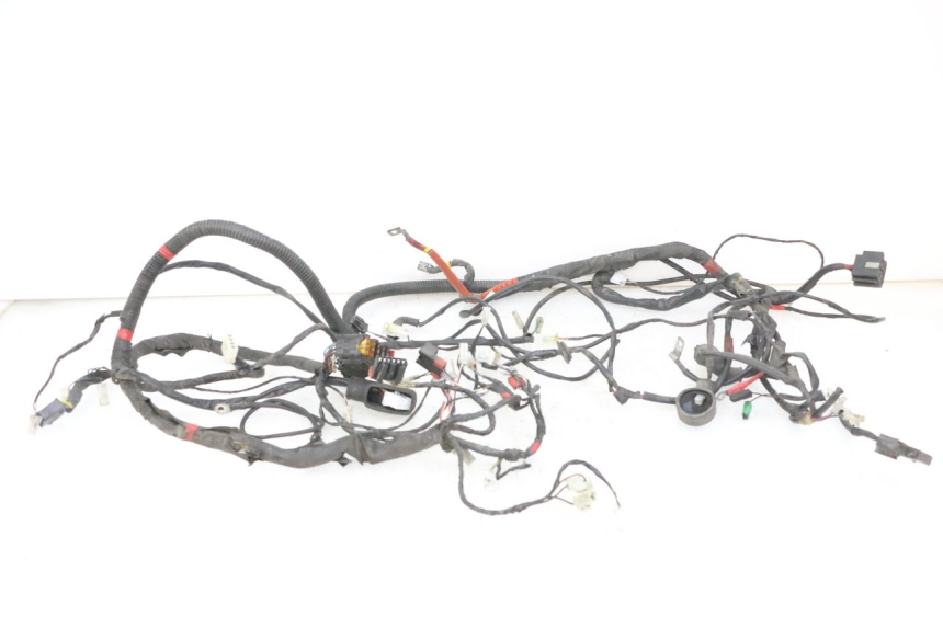 photo de WIRE HARNESS PIAGGIO VESPA GRANTURISMO 200 (2004 - 2005)