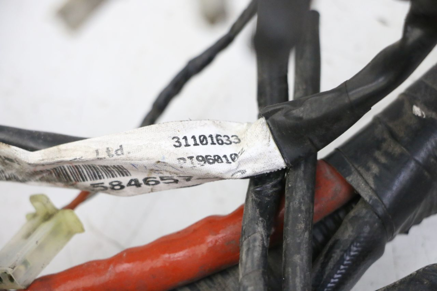 photo de WIRE HARNESS PIAGGIO VESPA GRANTURISMO 200 (2004 - 2005)