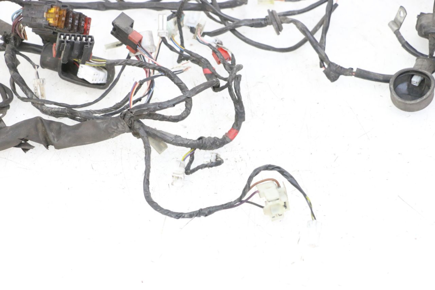 photo de WIRE HARNESS PIAGGIO VESPA GRANTURISMO 200 (2004 - 2005)