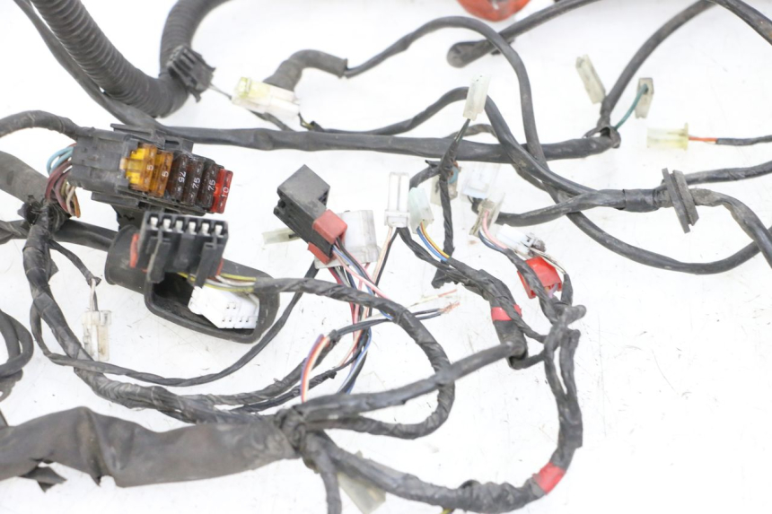 photo de WIRE HARNESS PIAGGIO VESPA GRANTURISMO 200 (2004 - 2005)