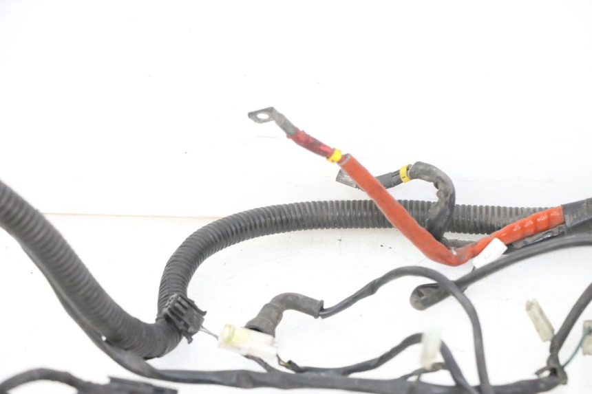 photo de WIRE HARNESS PIAGGIO VESPA GRANTURISMO 200 (2004 - 2005)