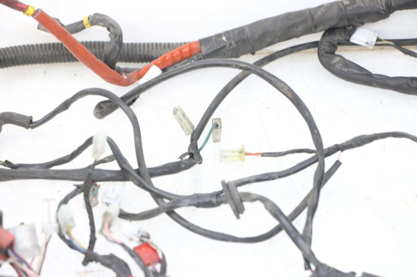 photo de WIRE HARNESS PIAGGIO VESPA GRANTURISMO 200 (2004 - 2005)