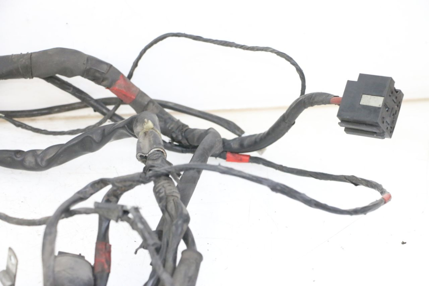 photo de WIRE HARNESS PIAGGIO VESPA GRANTURISMO 200 (2004 - 2005)