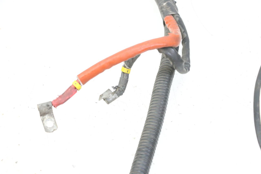 photo de WIRE HARNESS PIAGGIO VESPA GRANTURISMO 200 (2004 - 2005)