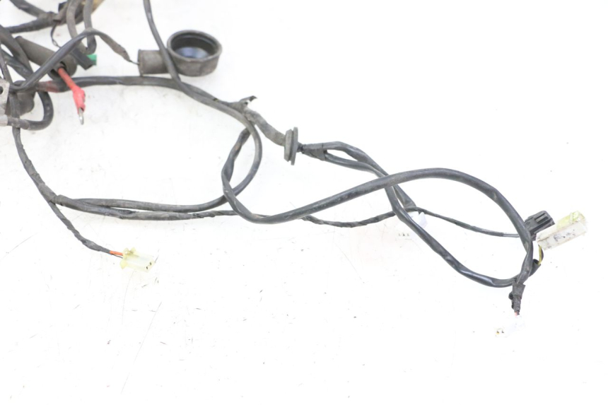 photo de WIRE HARNESS PIAGGIO VESPA GRANTURISMO 200 (2004 - 2005)