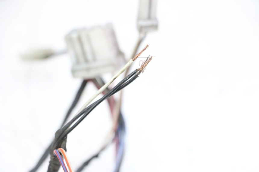 photo de WIRE HARNESS PIAGGIO VESPA GRANTURISMO 200 (2004 - 2005)