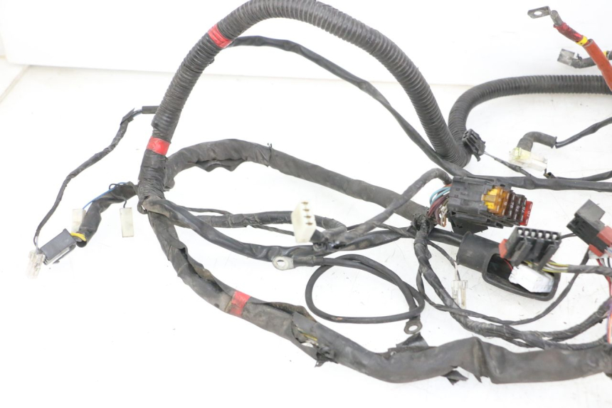 photo de WIRE HARNESS PIAGGIO VESPA GRANTURISMO 200 (2004 - 2005)