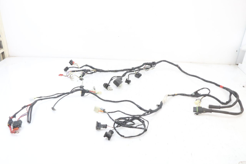 photo de WIRING HARNESS PIAGGIO VESPA S 2T 50 (2007 - 2014)