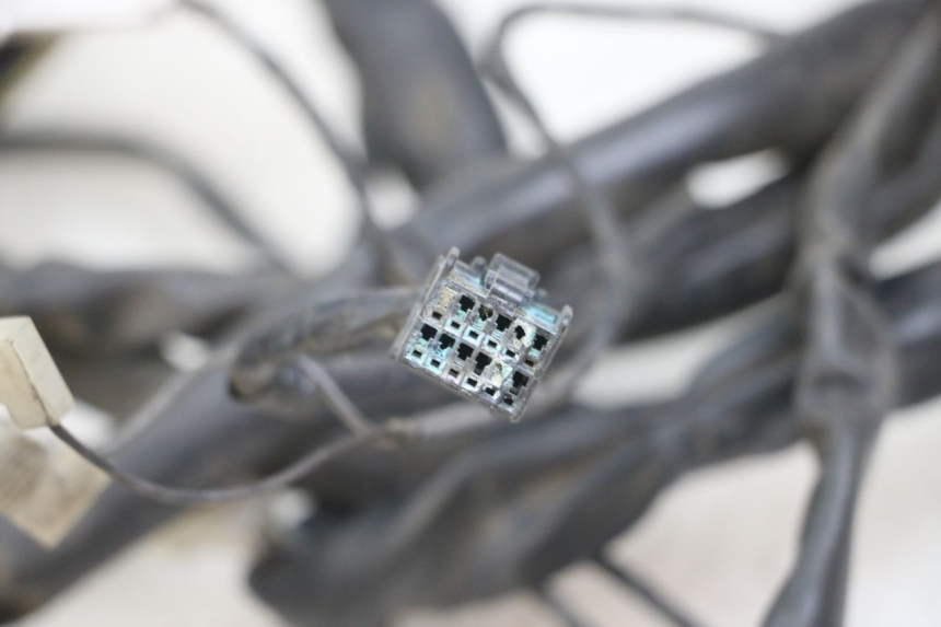 photo de WIRING HARNESS PIAGGIO X10 125 (2012 - 2017)