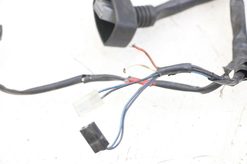 photo de WIRING HARNESS PIAGGIO X10 125 (2012 - 2017)