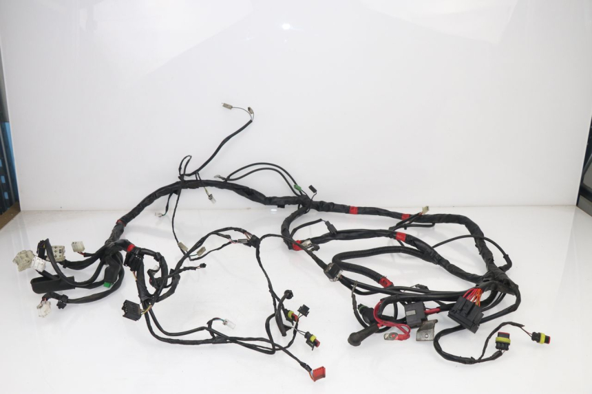 photo de WIRE HARNESS PIAGGIO X7 125 (2007 - 2013)