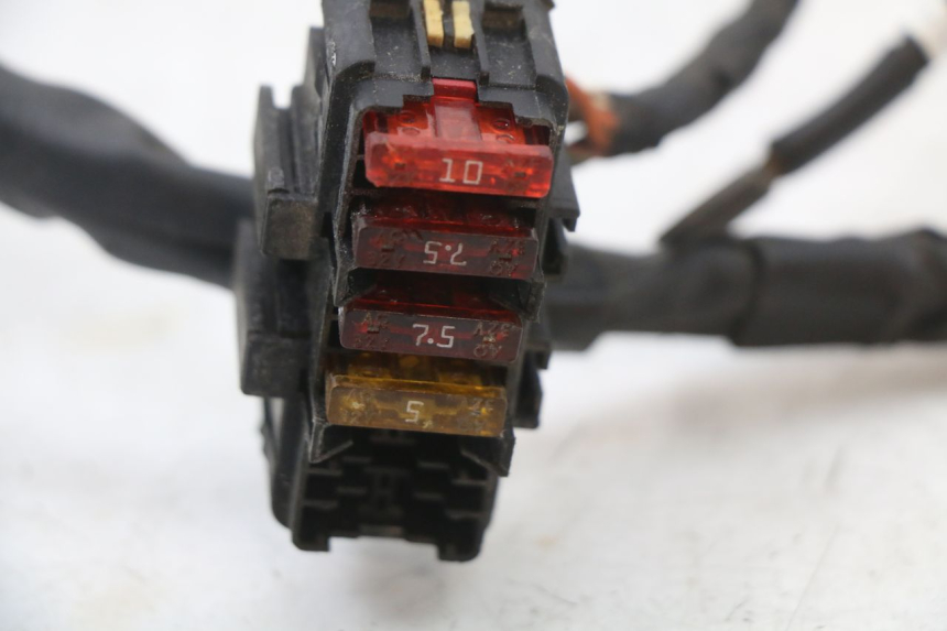 photo de WIRE HARNESS PIAGGIO X8 125 (2004 - 2007)