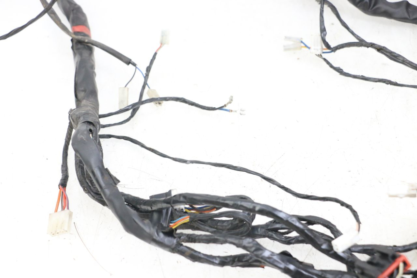 photo de WIRE HARNESS PIAGGIO X8 125 (2004 - 2007)