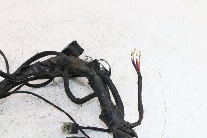 photo de WIRE HARNESS PIAGGIO X8 STREET 125 (2006 - 2007)