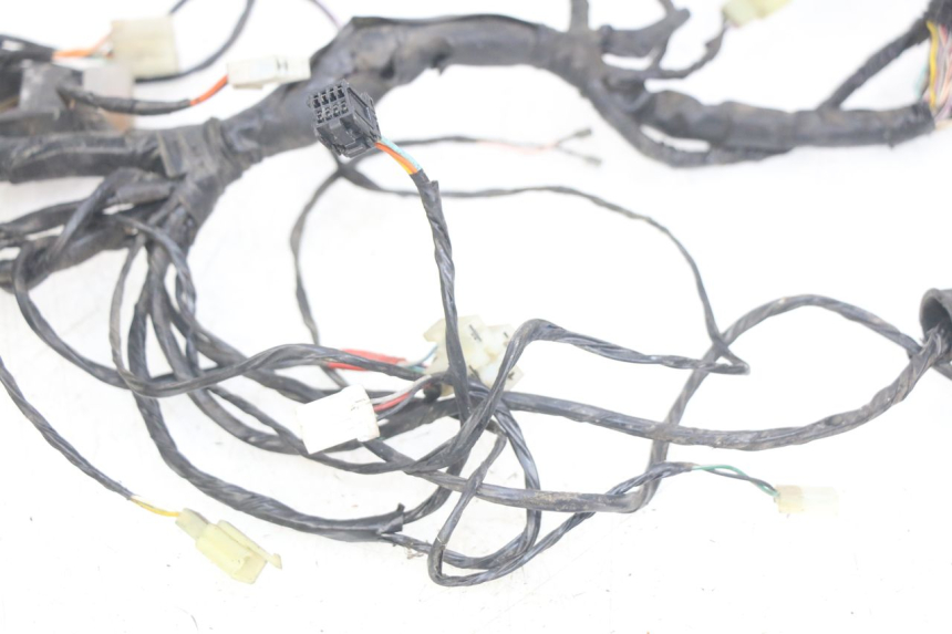 photo de WIRING HARNESS PIAGGIO X9 125 (2000 - 2003)