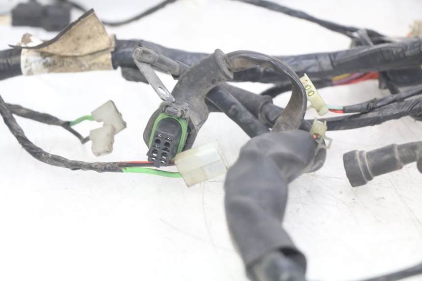 photo de WIRING HARNESS PIAGGIO X9 125 (2000 - 2003)