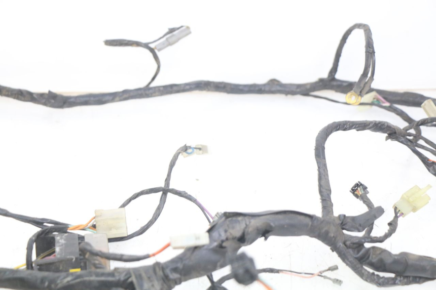 photo de WIRING HARNESS PIAGGIO X9 125 (2000 - 2003)