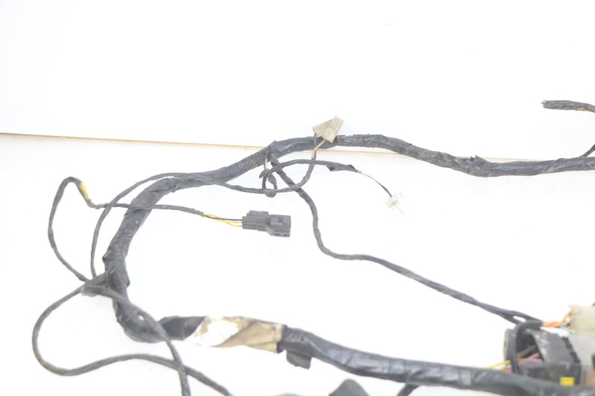 photo de WIRING HARNESS PIAGGIO X9 125 (2000 - 2003)