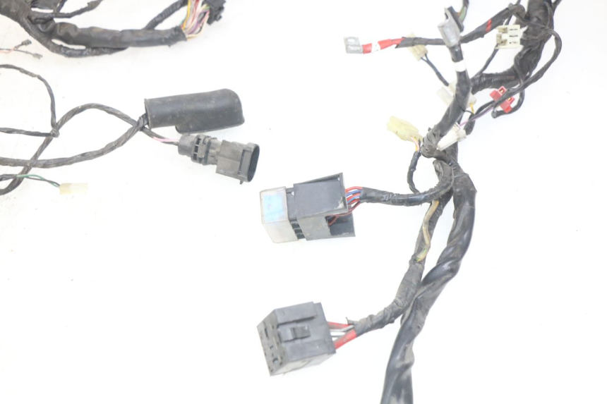 photo de WIRING HARNESS PIAGGIO X9 125 (2000 - 2003)