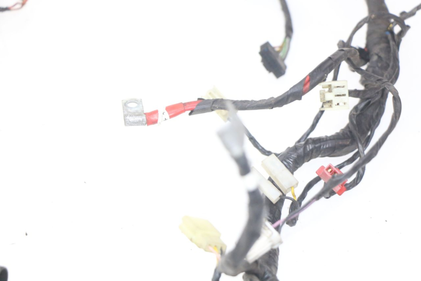 photo de WIRING HARNESS PIAGGIO X9 125 (2000 - 2003)