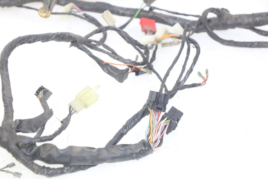 photo de WIRING HARNESS PIAGGIO X9 125 (2000 - 2003)