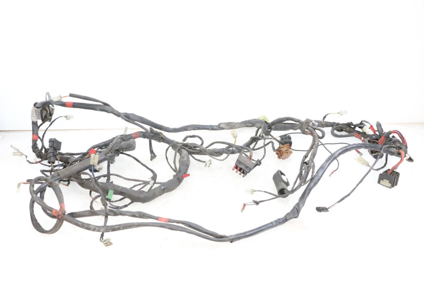 photo de WIRING HARNESS PIAGGIO X9 125 (2000 - 2003)