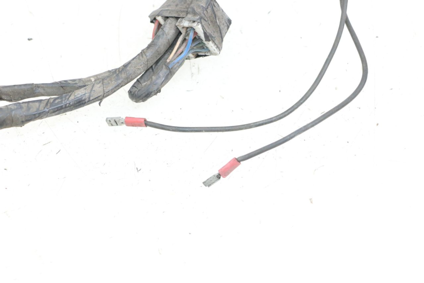 photo de WIRING HARNESS PIAGGIO X9 125 (2000 - 2003)