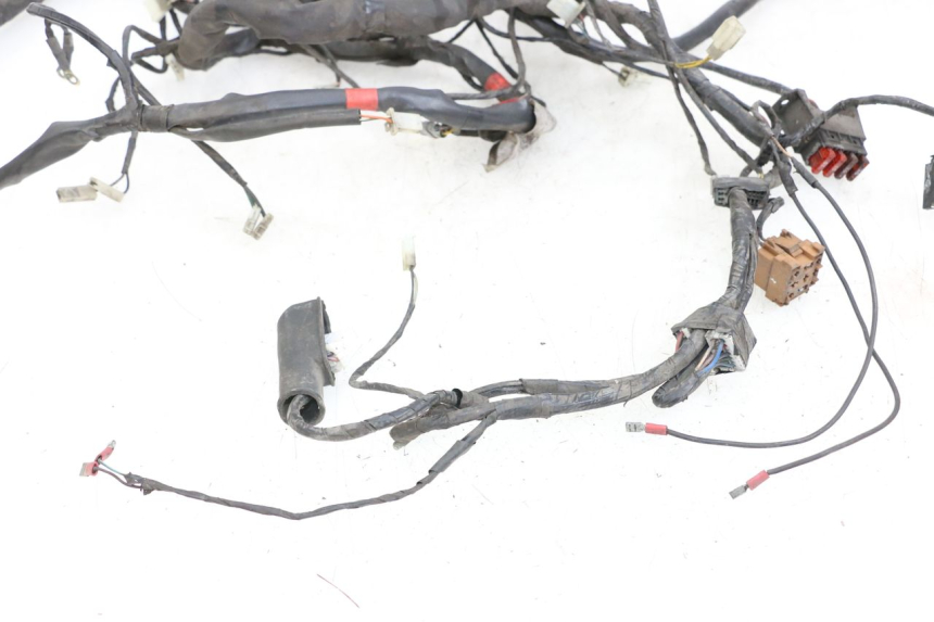 photo de WIRING HARNESS PIAGGIO X9 125 (2000 - 2003)