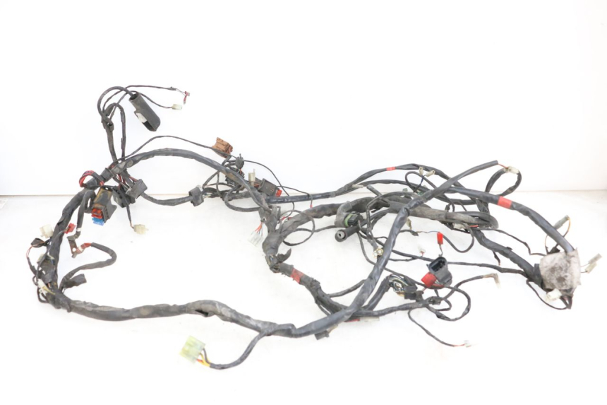 photo de WIRING HARNESS PIAGGIO X9 125 (2000 - 2003)