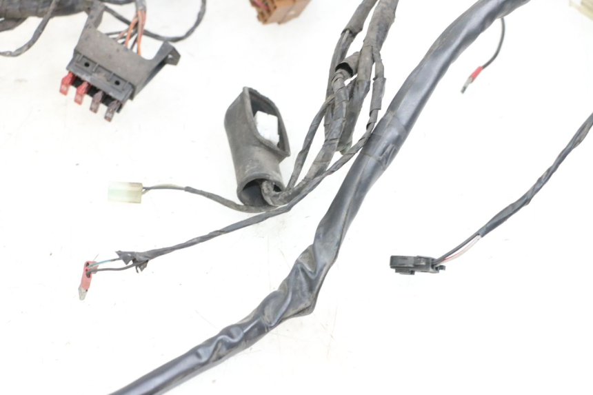 photo de WIRING HARNESS PIAGGIO X9 125 (2000 - 2003)