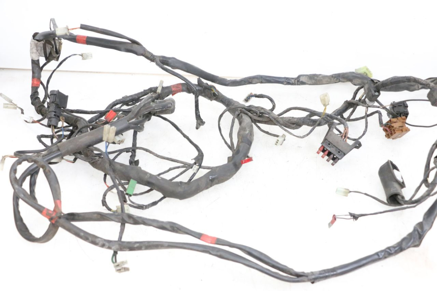 photo de WIRING HARNESS PIAGGIO X9 125 (2000 - 2003)