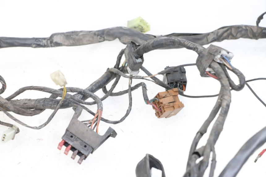 photo de WIRING HARNESS PIAGGIO X9 125 (2000 - 2003)