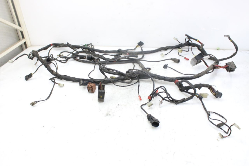 photo de WIRING HARNESS PIAGGIO X9 EVOLUTION 250 (2003 - 2007)