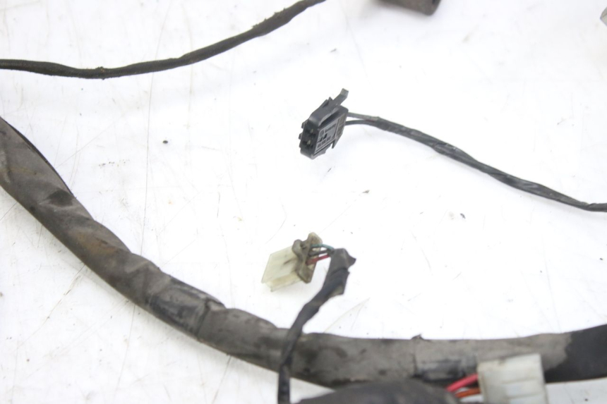 photo de WIRING HARNESS PIAGGIO X9 EVOLUTION 250 (2003 - 2007)