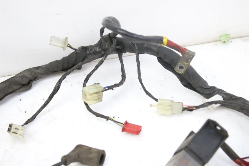 photo de WIRING HARNESS PIAGGIO X9 EVOLUTION 250 (2003 - 2007)