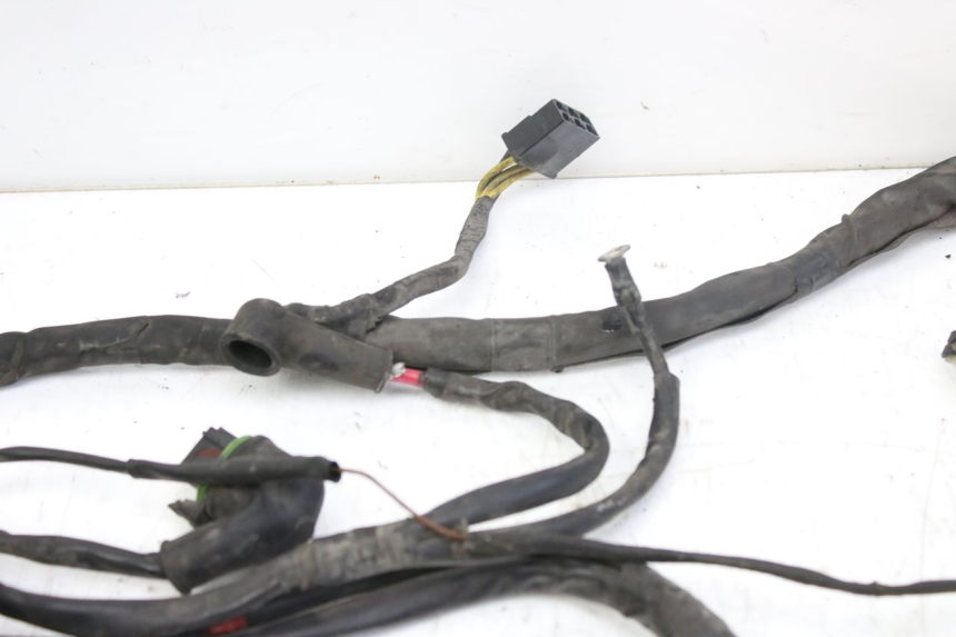 photo de WIRING HARNESS PIAGGIO X9 EVOLUTION 250 (2003 - 2007)