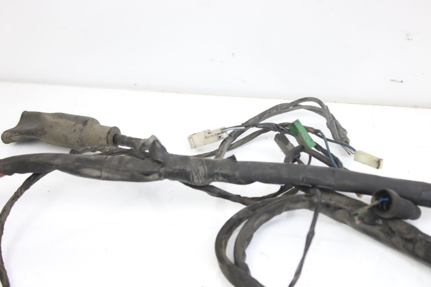 photo de WIRING HARNESS PIAGGIO X9 EVOLUTION 250 (2003 - 2007)