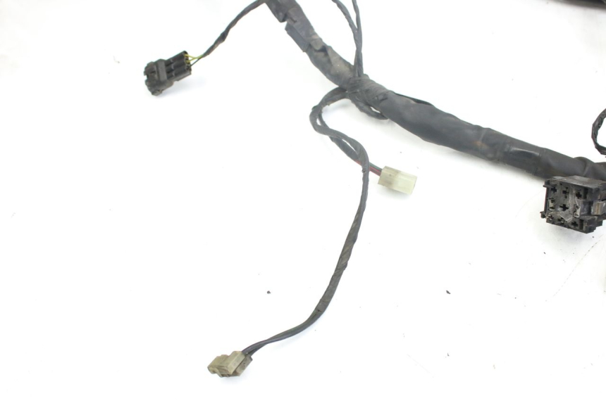 photo de WIRING HARNESS PIAGGIO X9 EVOLUTION 250 (2003 - 2007)